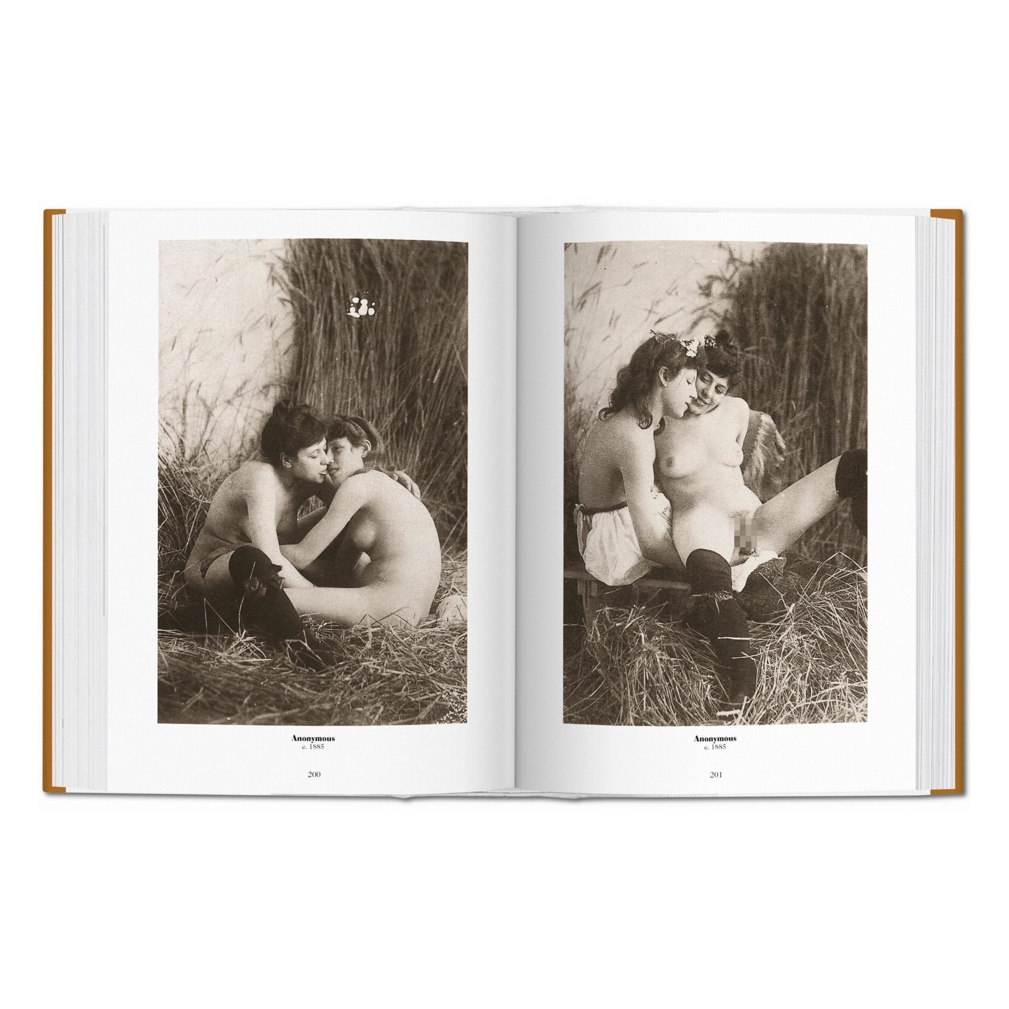 1000 Nudes. A History of Erotic Photography from 1839-1939 (German, French, English)-POPvault