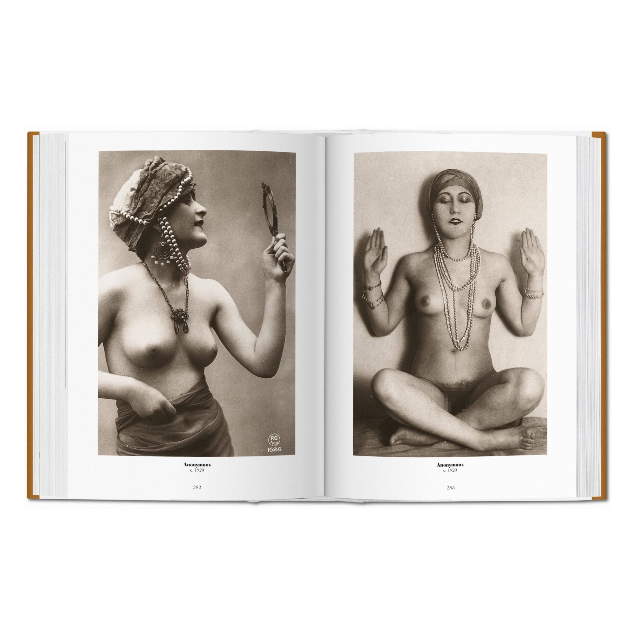 1000 Nudes. A History of Erotic Photography from 1839-1939 (German, French, English)-POPvault