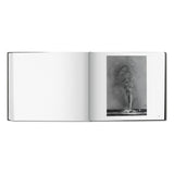 Sebastião Salgado. Kuwait. A Desert on Fire (German, French, English)