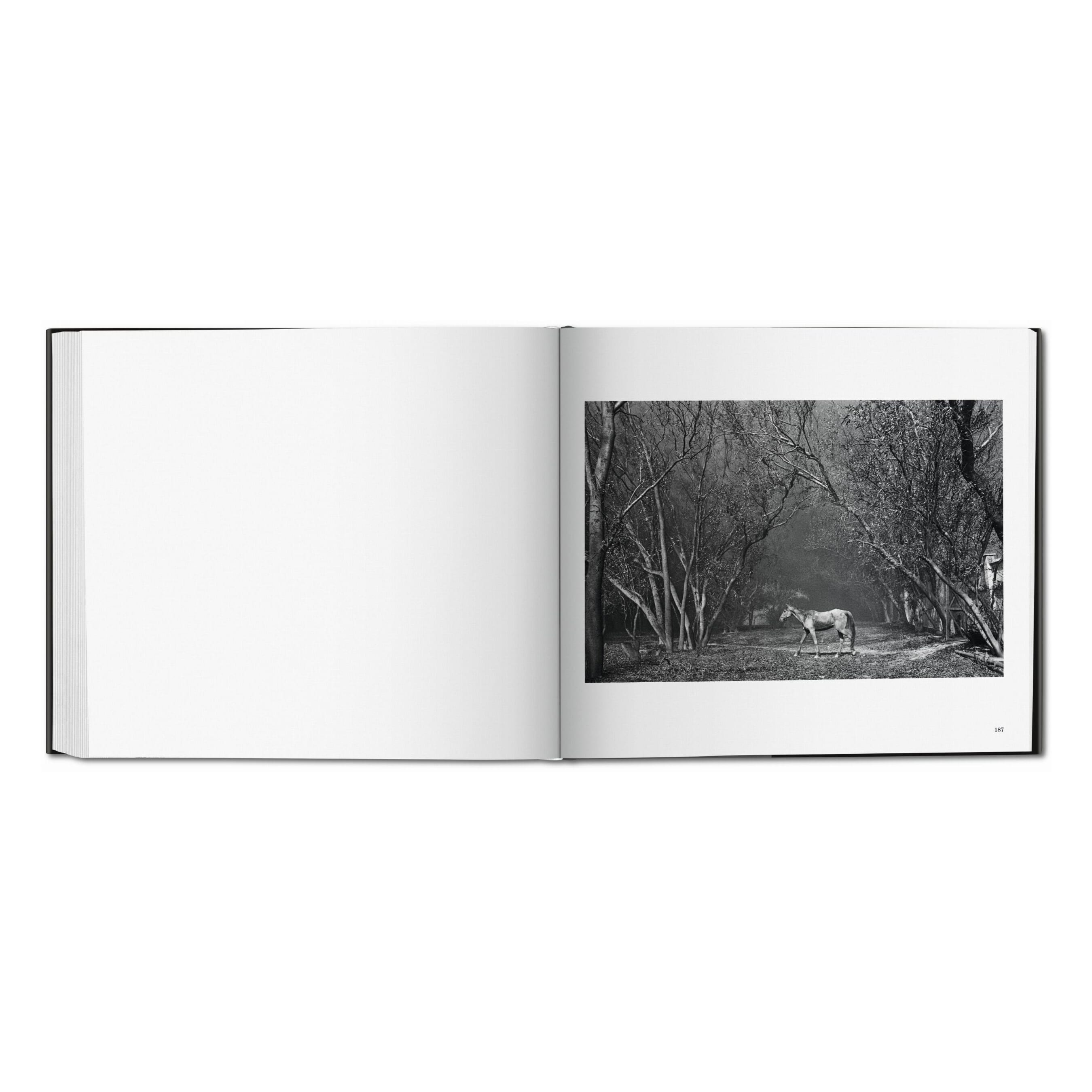 Sebastião Salgado. Kuwait. A Desert on Fire (German, French, English)