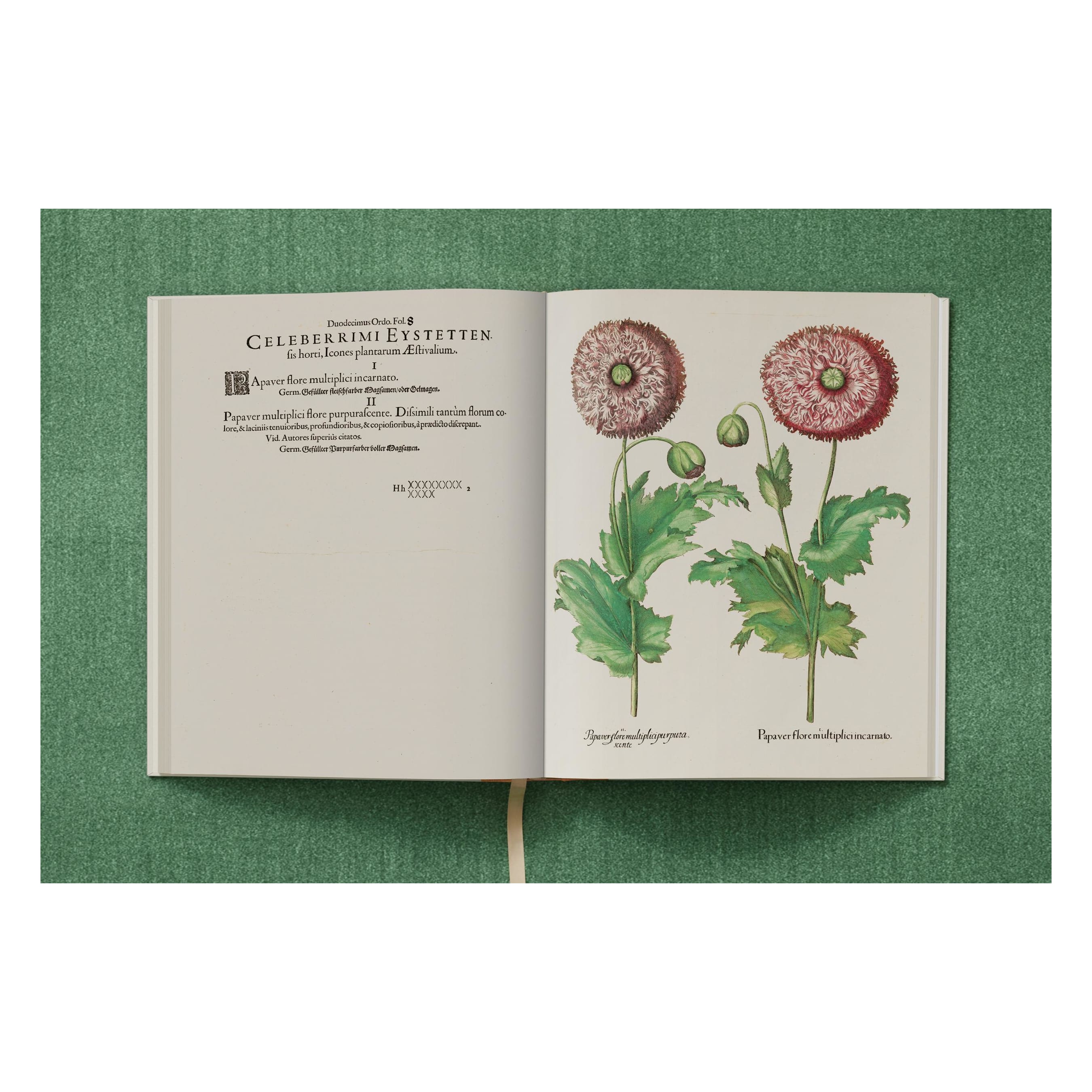 Basilius Besler. The Garden at Eichstätt (German, French, English) (FFE)