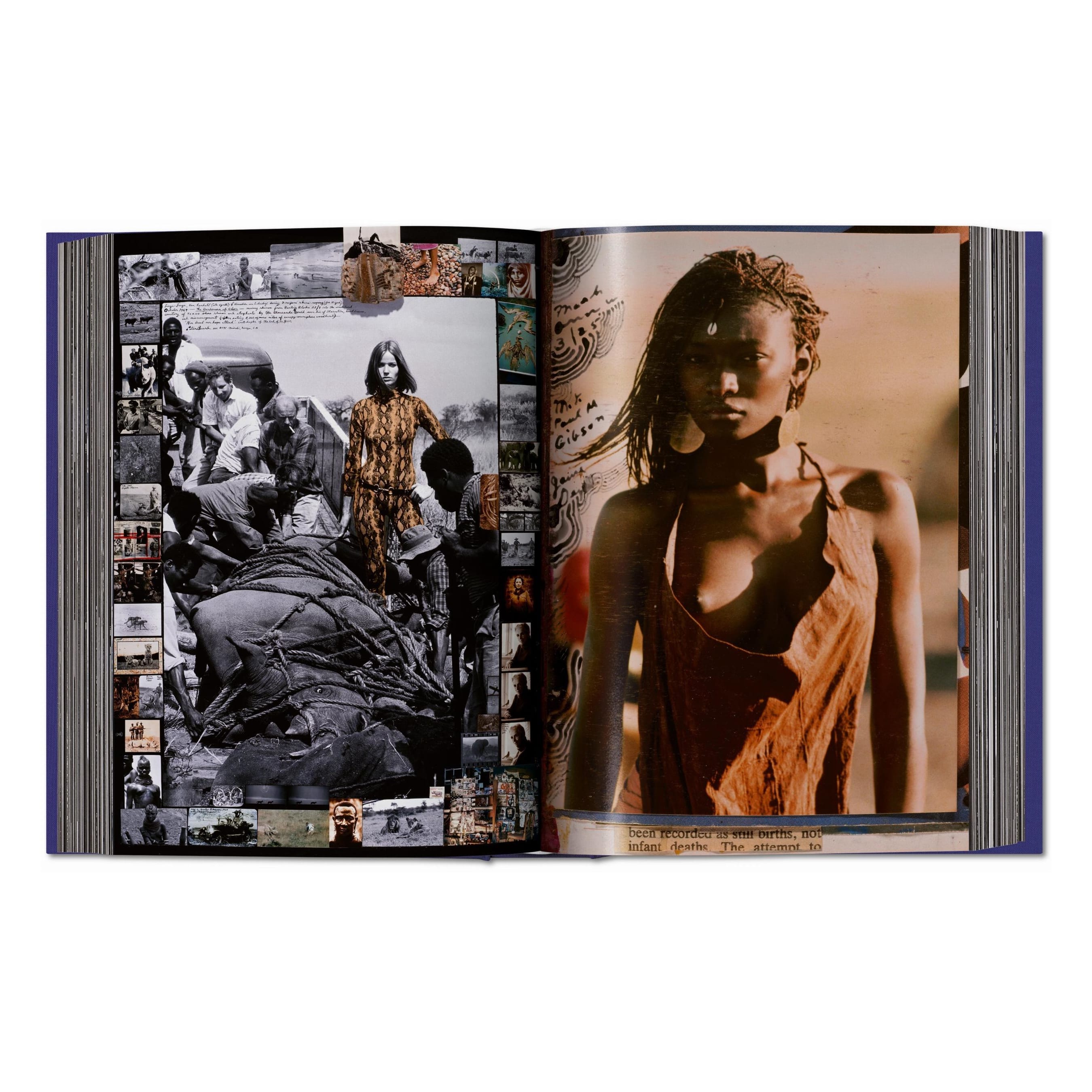 Peter Beard (German, French, English)