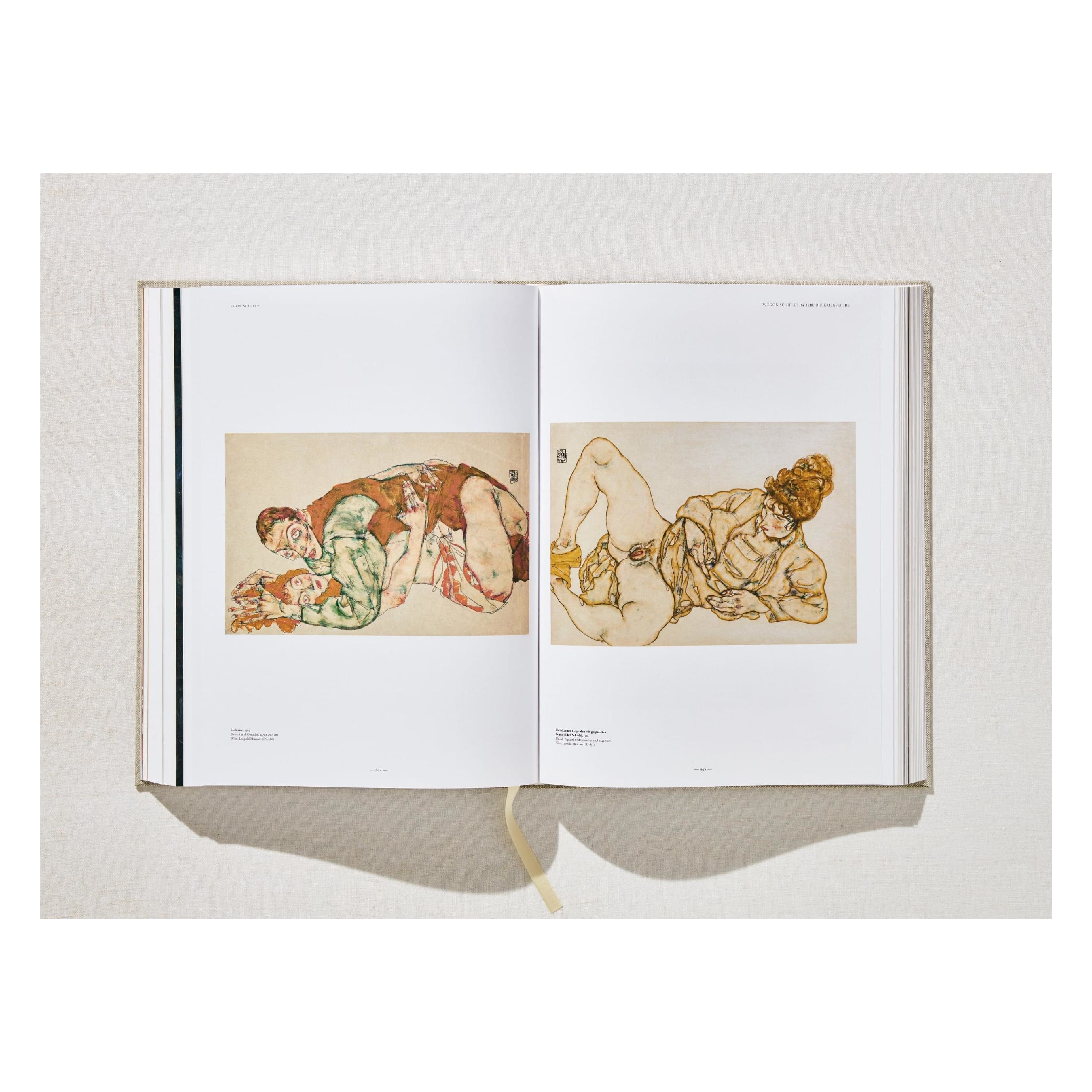 Egon Schiele. The Complete Paintings 1909–1918 (English)
