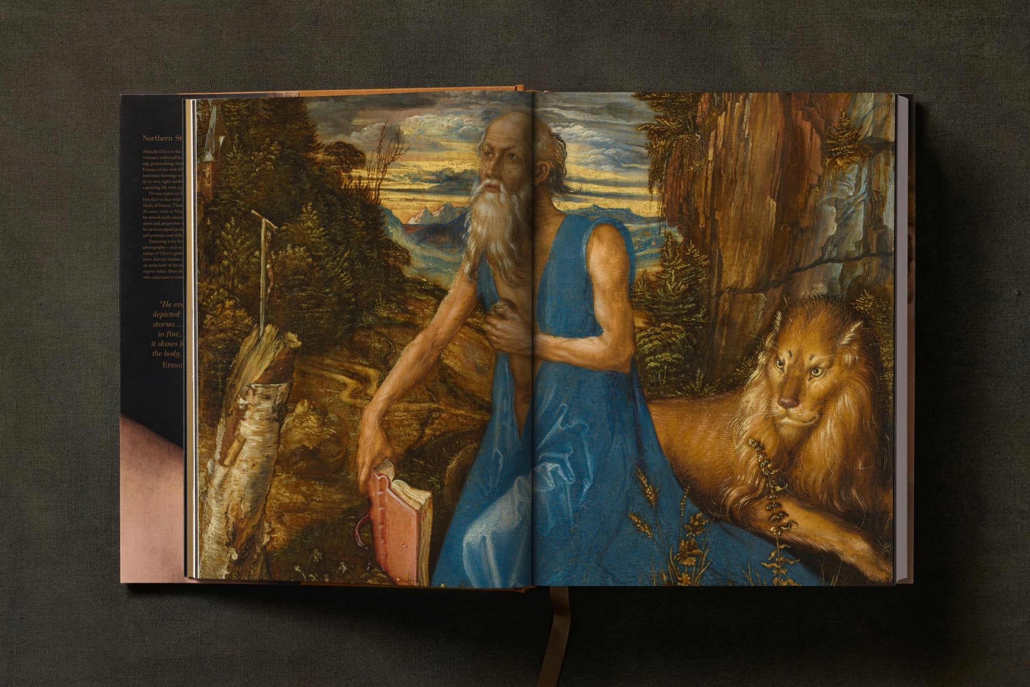 Albrecht Dürer. The Complete Paintings. Selected Drawings and Prints (English) - POPvault