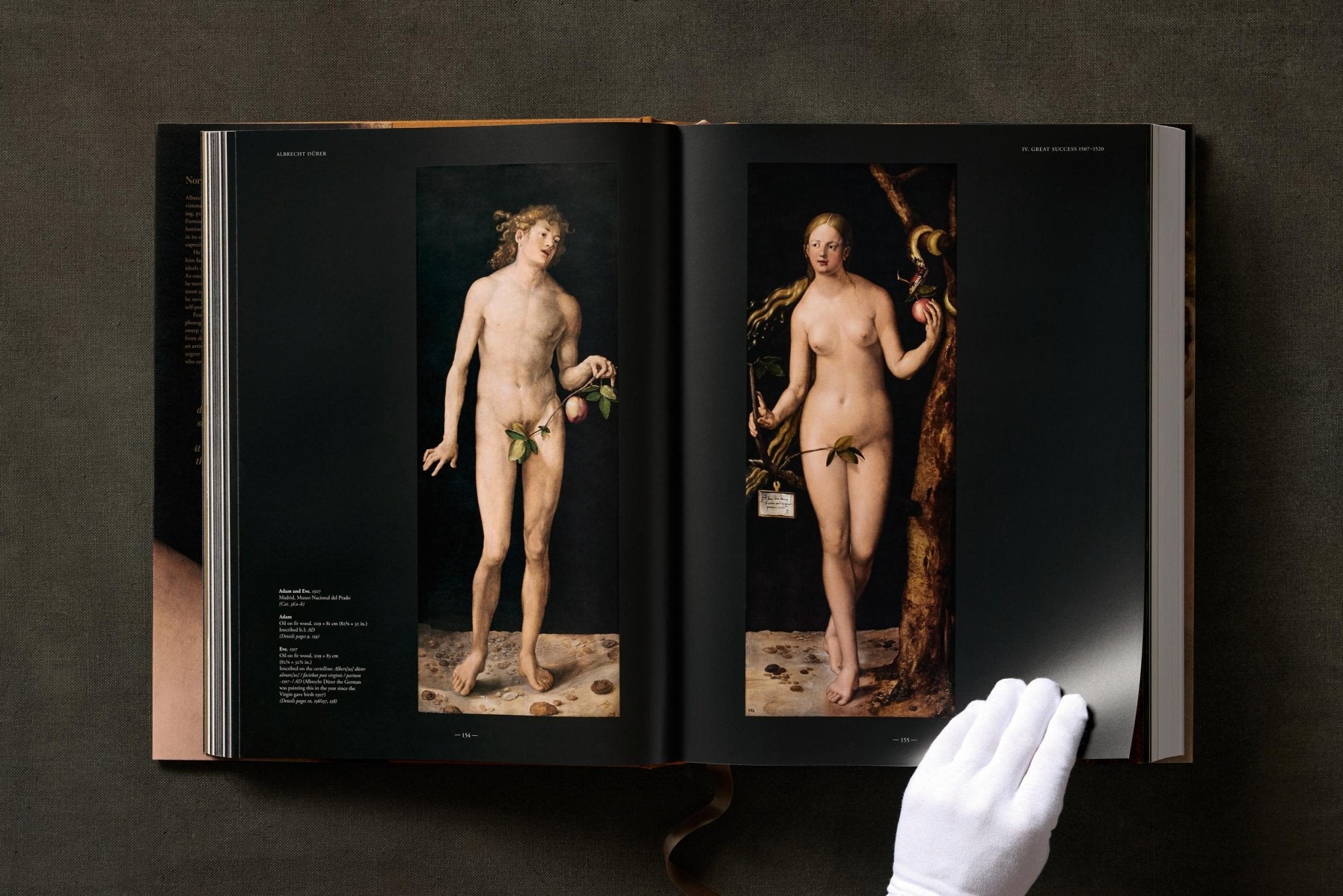 Albrecht Dürer. The Complete Paintings. Selected Drawings and Prints (English) - POPvault