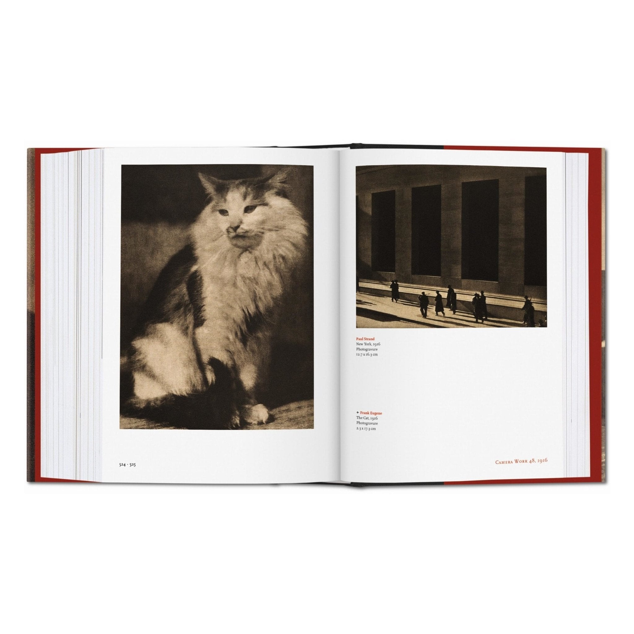 Alfred Stieglitz. Camera Work (German, French, English)-POPvault