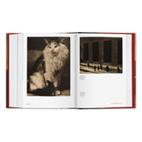 Alfred Stieglitz. Camera Work (German, French, English)-POPvault