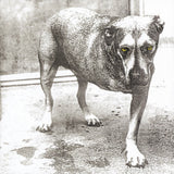 Alice In Chains - Alice In Chains (30th Anniversary Reissue) [Colored Vinyl] Vinyl Record - POPvault