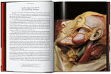 Anatomical Waxes. 45th Ed. (German, French, English) - POPvault