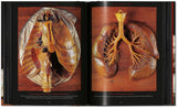Anatomical Waxes. 45th Ed. (German, French, English) - POPvault