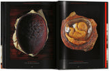 Anatomical Waxes. 45th Ed. (German, French, English) - POPvault