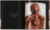 Anatomical Waxes. 45th Ed. (German, French, English) - POPvault