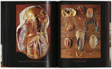 Anatomical Waxes. 45th Ed. (German, French, English) - POPvault