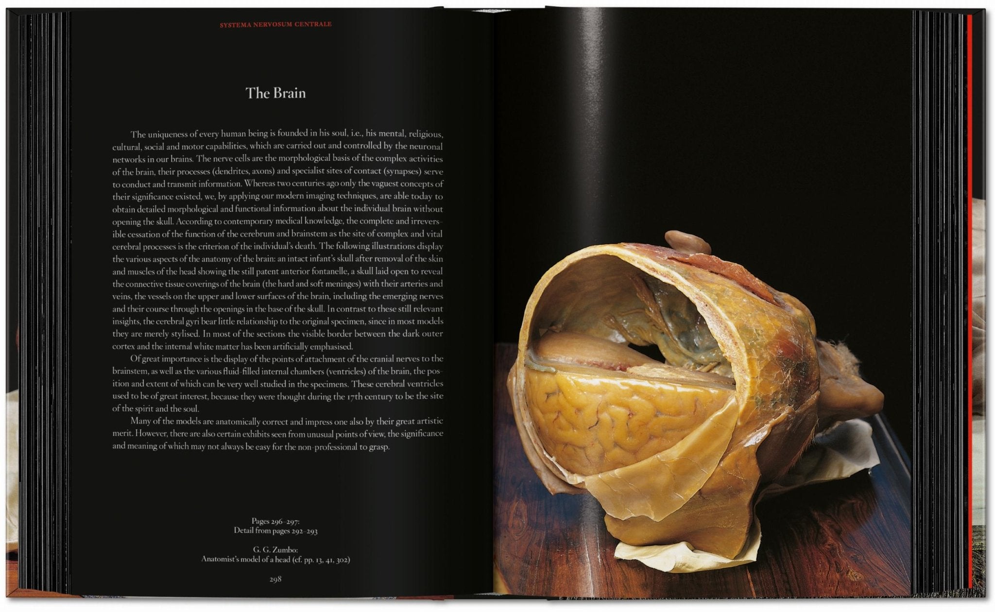 Anatomical Waxes. 45th Ed. (German, French, English) - POPvault