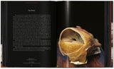 Anatomical Waxes. 45th Ed. (German, French, English) - POPvault