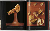 Anatomical Waxes. 45th Ed. (German, French, English) - POPvault