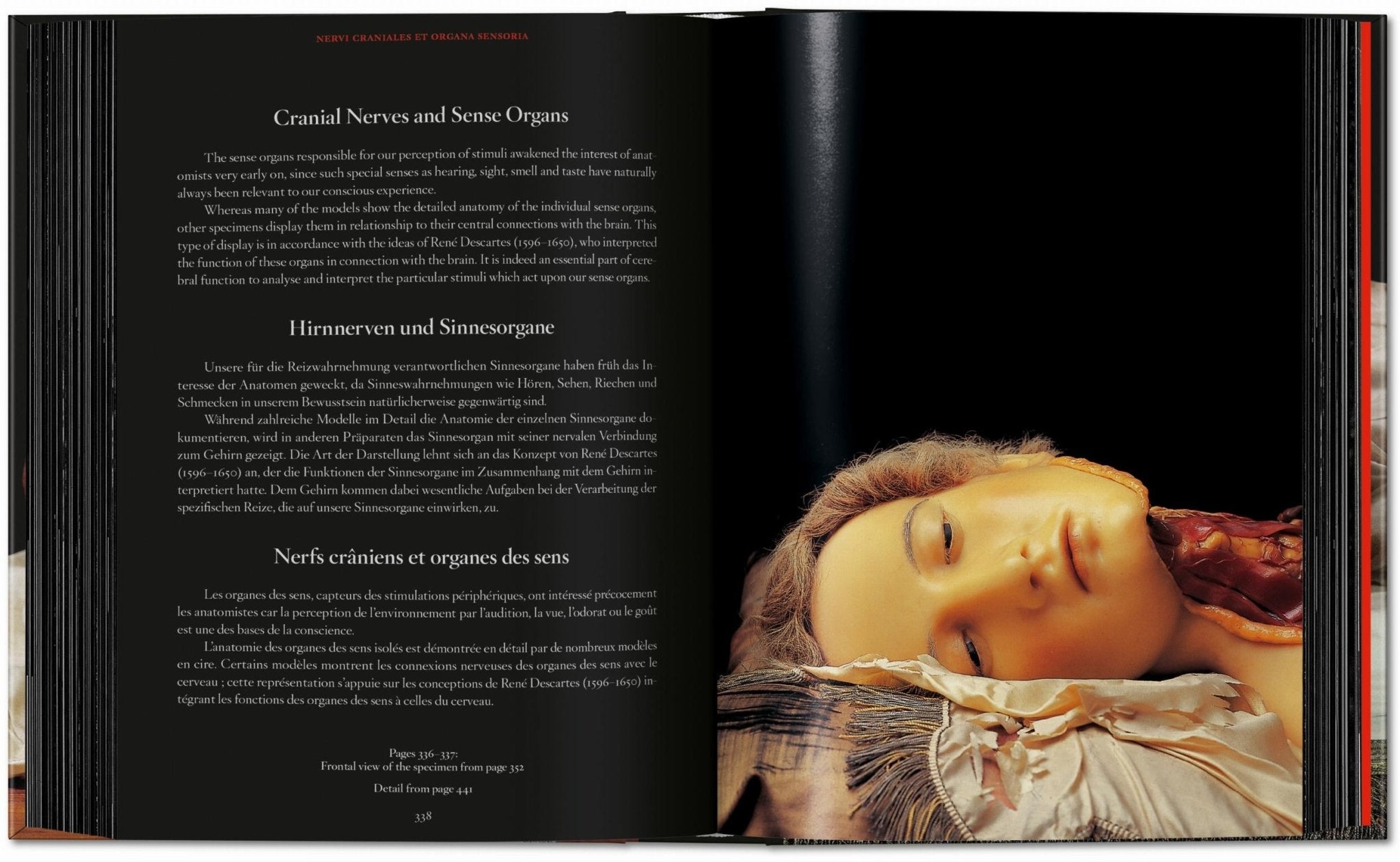 Anatomical Waxes. 45th Ed. (German, French, English) - POPvault