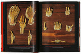Anatomical Waxes. 45th Ed. (German, French, English) - POPvault