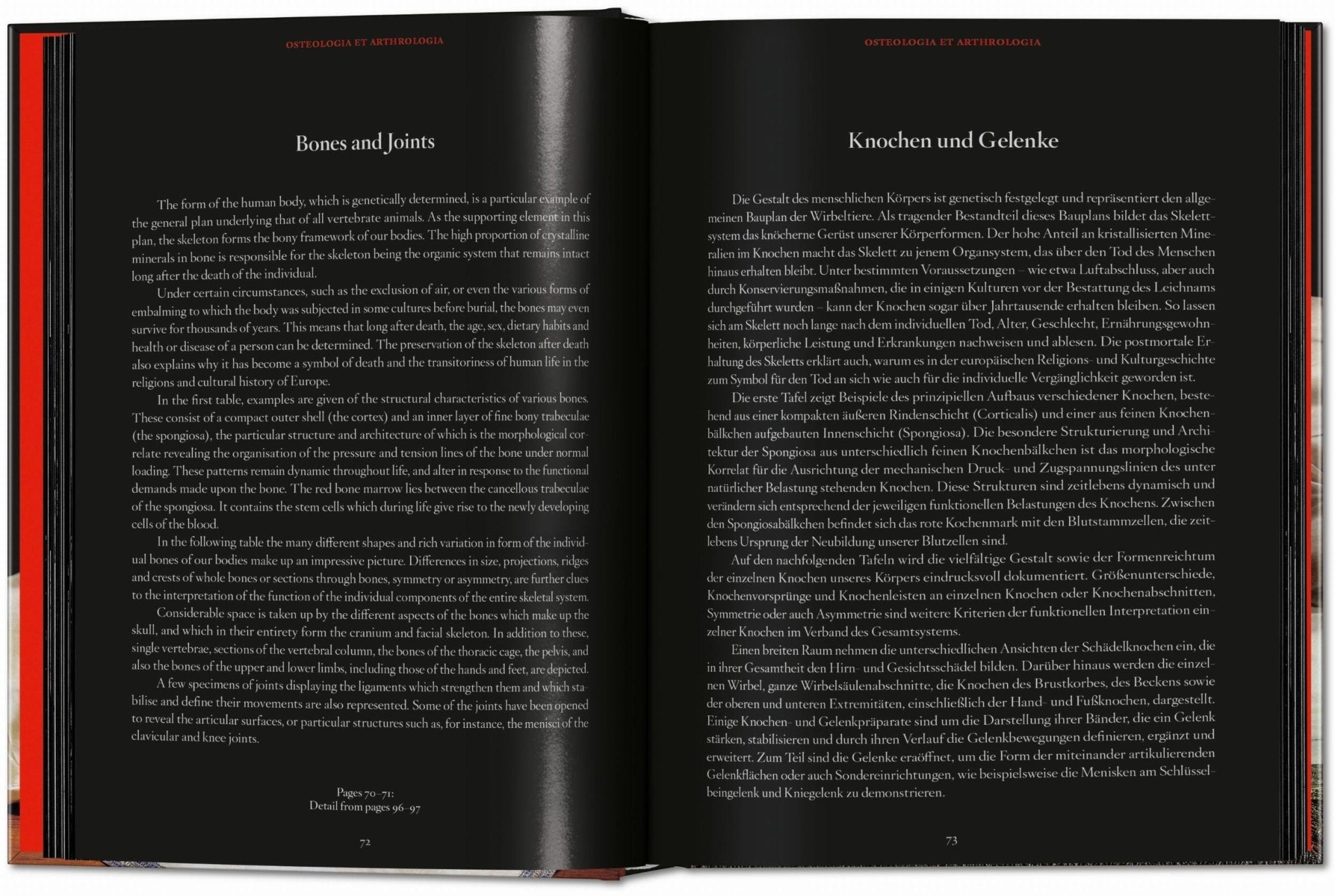 Anatomical Waxes. 45th Ed. (German, French, English) - POPvault