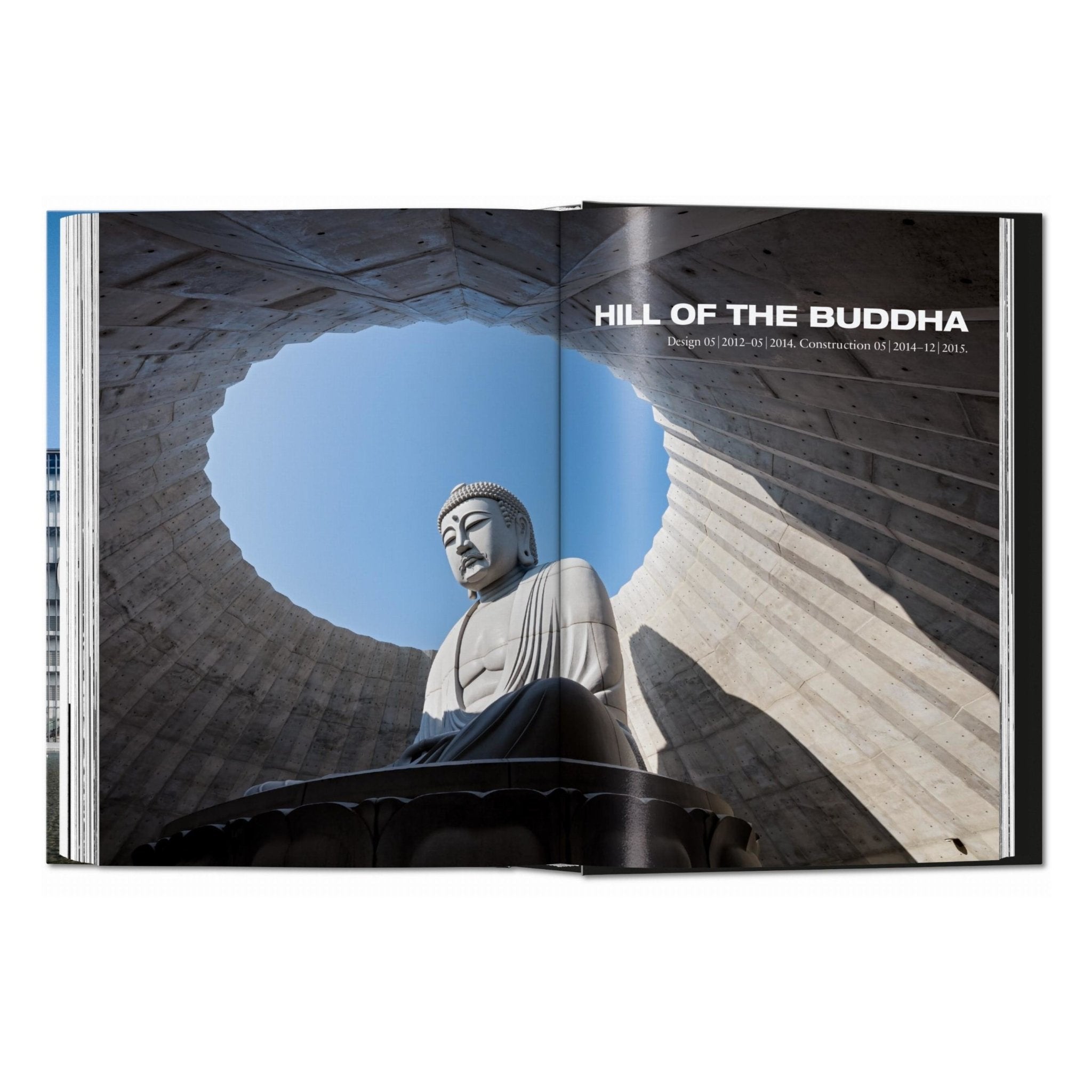 Ando. Complete Works 1975–Today. 45th Ed. (German, French, English)-POPvault