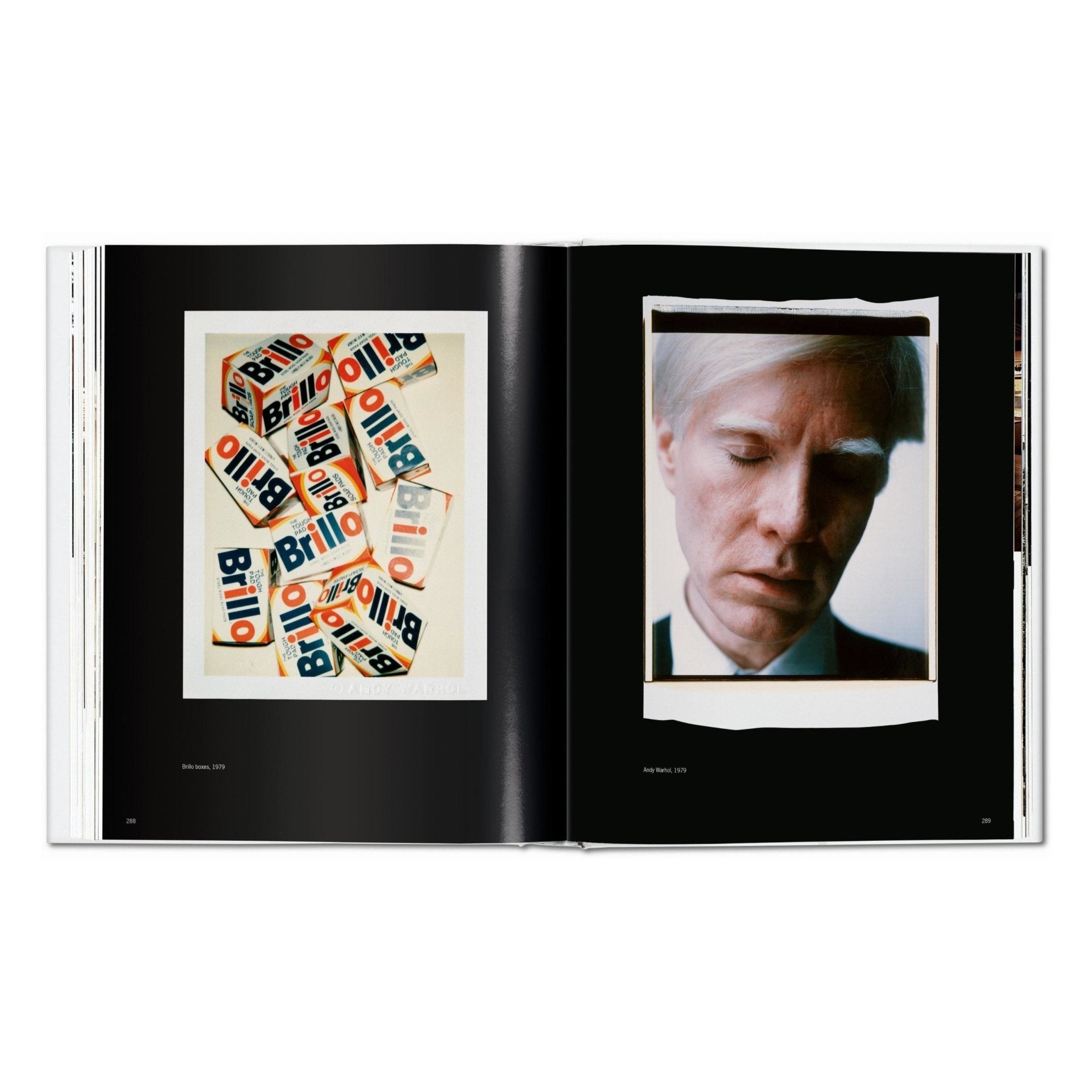 Andy Warhol. Polaroids 1958-1987 (German, French, English)-POPvault