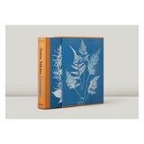 Anna Atkins. Cyanotypes (German, French, English) (FFE)-POPvault