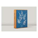 Anna Atkins. Cyanotypes (German, French, English) (FFE)-POPvault