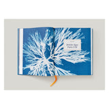 Anna Atkins. Cyanotypes (German, French, English) (FFE)-POPvault