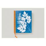 Anna Atkins. Cyanotypes (German, French, English) (FFE)-POPvault