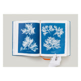Anna Atkins. Cyanotypes (German, French, English) (FFE)-POPvault