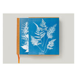 Anna Atkins. Cyanotypes (German, French, English) (FFE)-POPvault