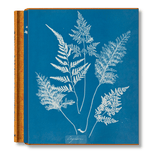 Anna Atkins. Cyanotypes (German, French, English) (FFE)-POPvault