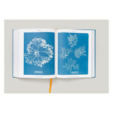 Anna Atkins. Cyanotypes (German, French, English) (FFE)-POPvault