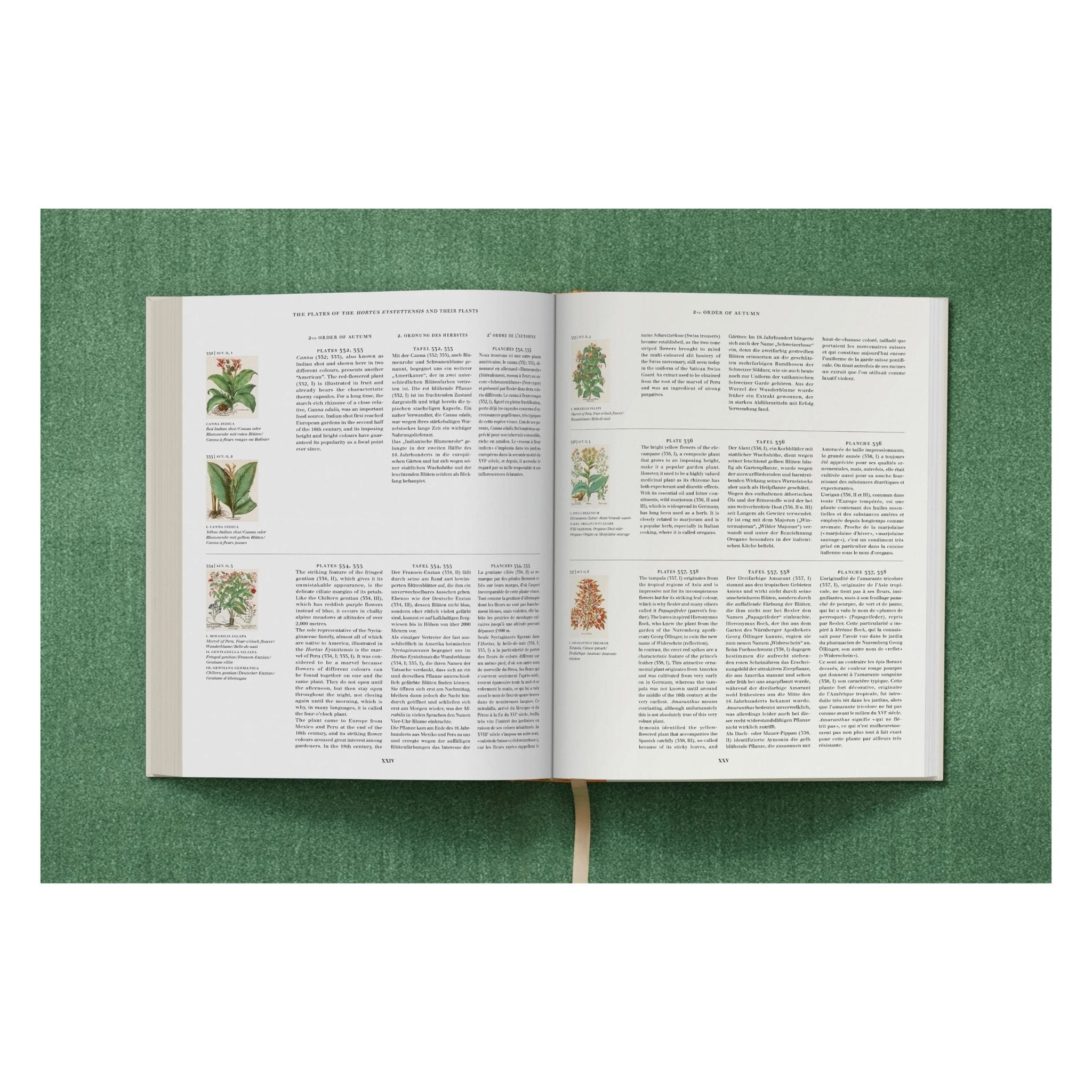 Basilius Besler. The Garden at Eichstätt (German, French, English) (FFE)-POPvault