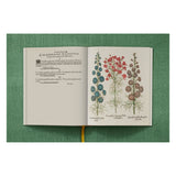Basilius Besler. The Garden at Eichstätt (German, French, English) (FFE)-POPvault