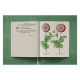 Basilius Besler. The Garden at Eichstätt (German, French, English) (FFE)-POPvault