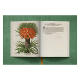 Basilius Besler. The Garden at Eichstätt (German, French, English) (FFE)-POPvault