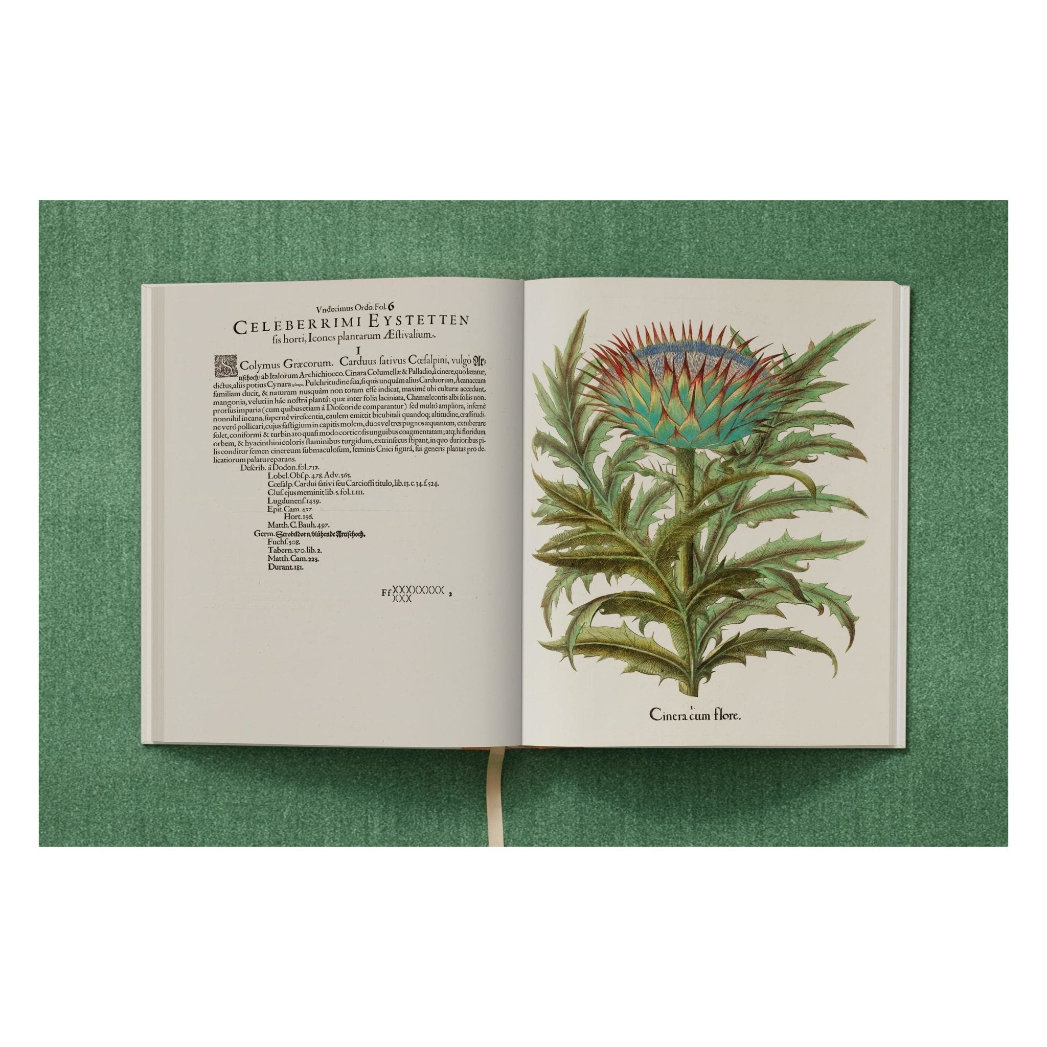 Basilius Besler. The Garden at Eichstätt (German, French, English) (FFE)-POPvault