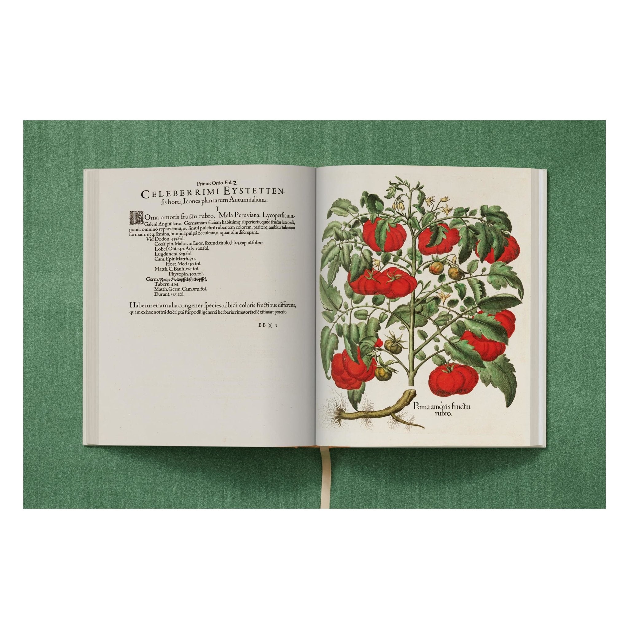 Basilius Besler. The Garden at Eichstätt (German, French, English) (FFE)-POPvault