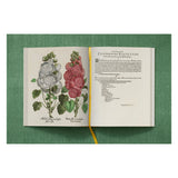 Basilius Besler. The Garden at Eichstätt (German, French, English) (FFE)-POPvault