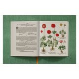 Basilius Besler. The Garden at Eichstätt (German, French, English) (FFE)-POPvault