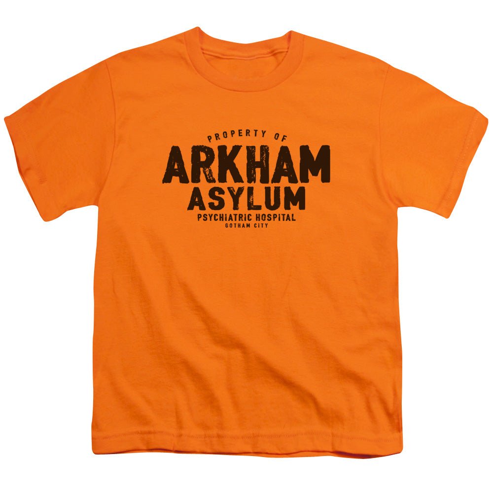 Batman Arkham Asylum Kids Youth T Shirt Orange Officially Licensed - POPvault