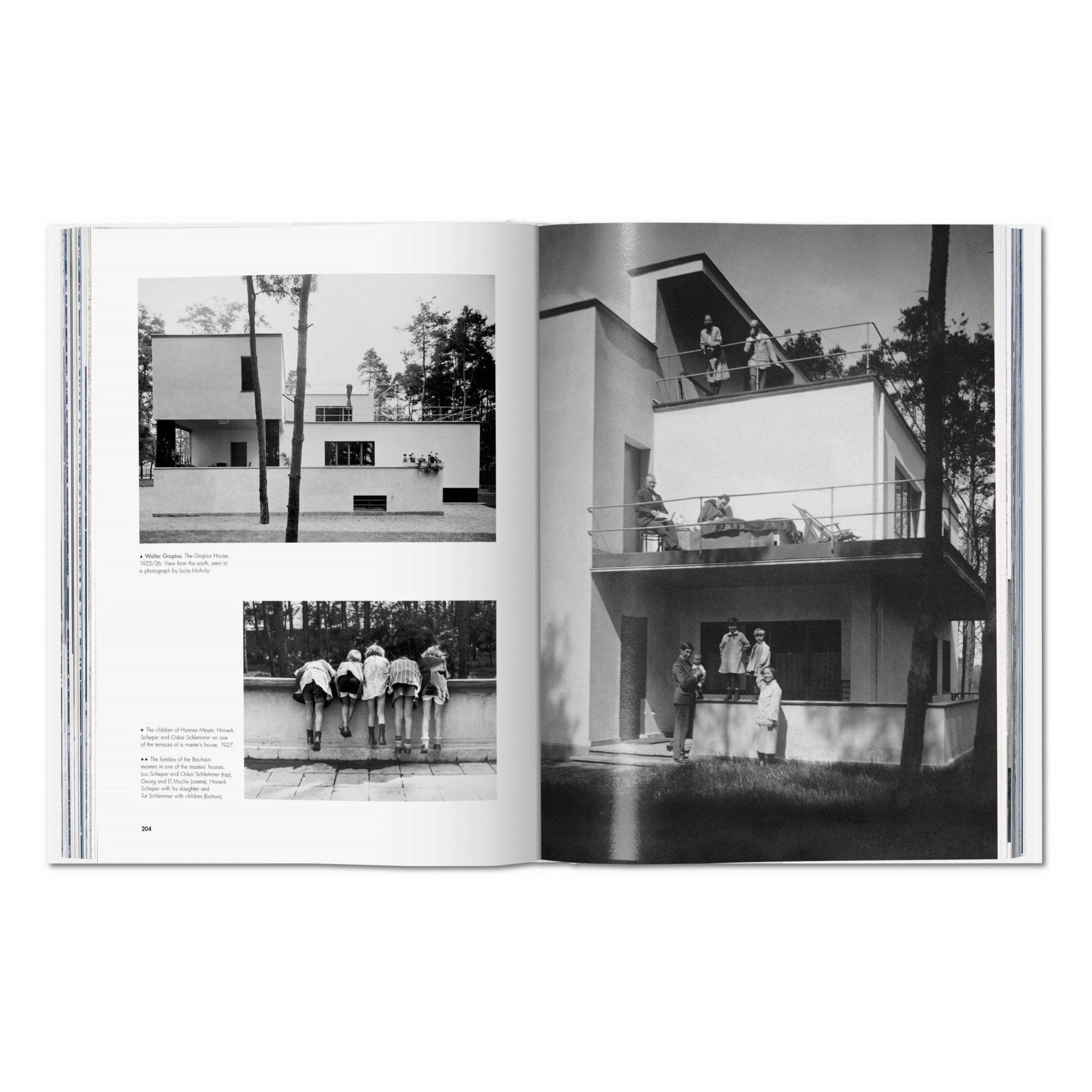 Bauhaus. Updated Edition (English)-POPvault