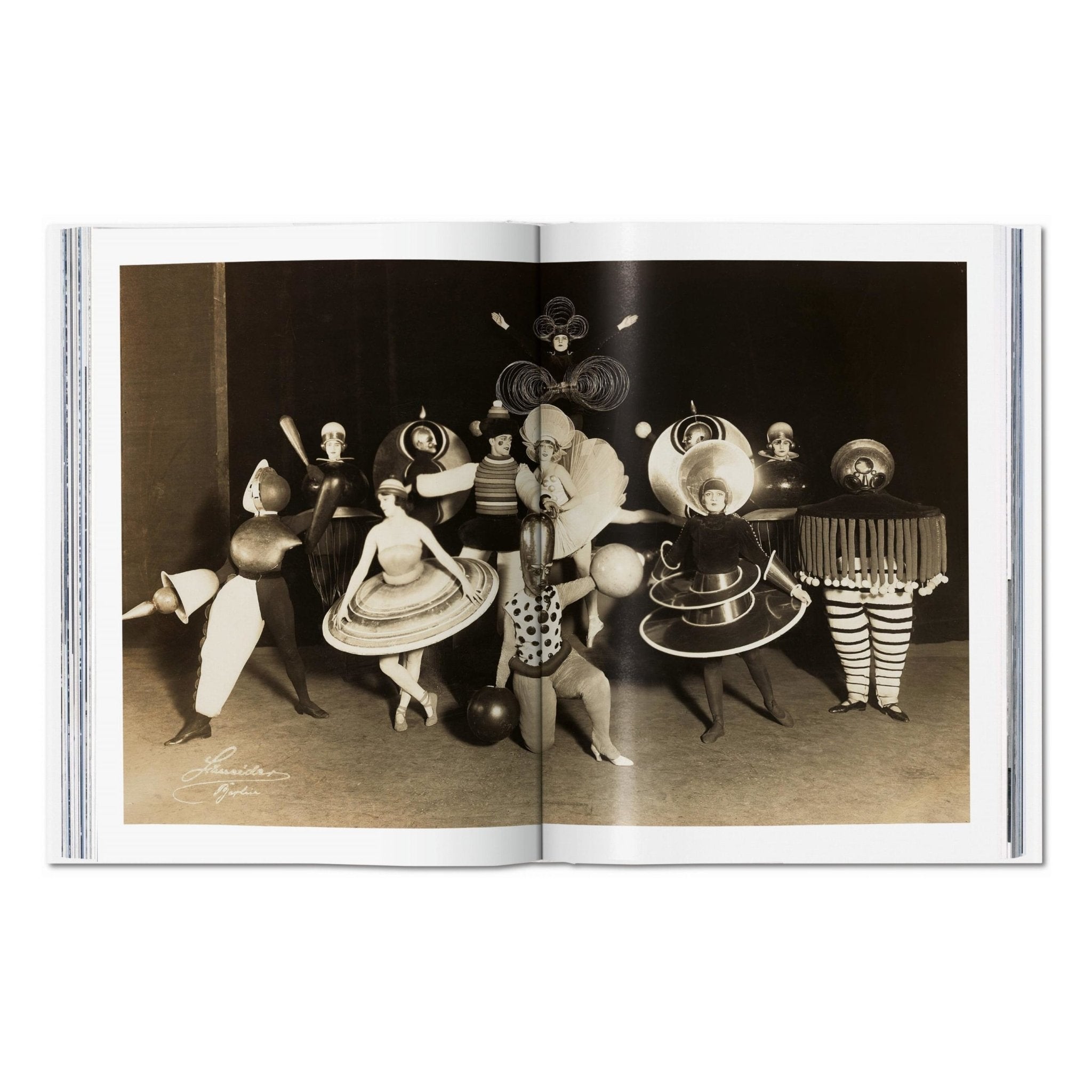 Bauhaus. Updated Edition (English)-POPvault