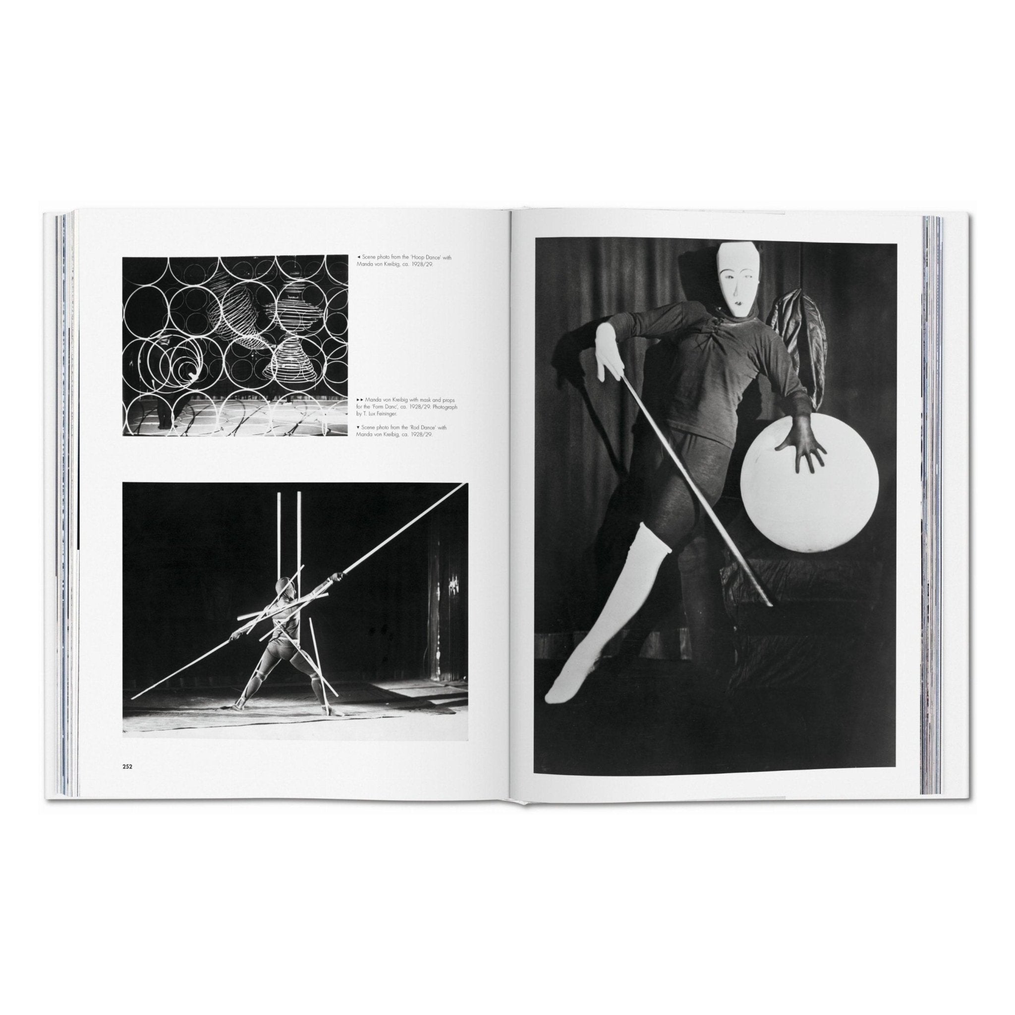 Bauhaus. Updated Edition (English)-POPvault