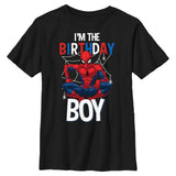Boy's Marvel IÕm the Birthday Boy T-Shirt - POPvault