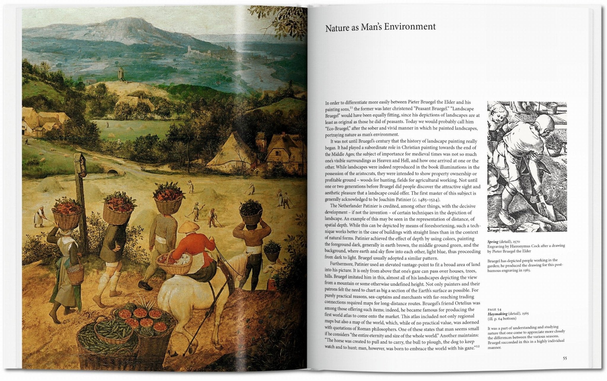 Bruegel (English) - POPvault