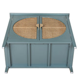 Cabinet With Natural Rattan Weaving - POPvault