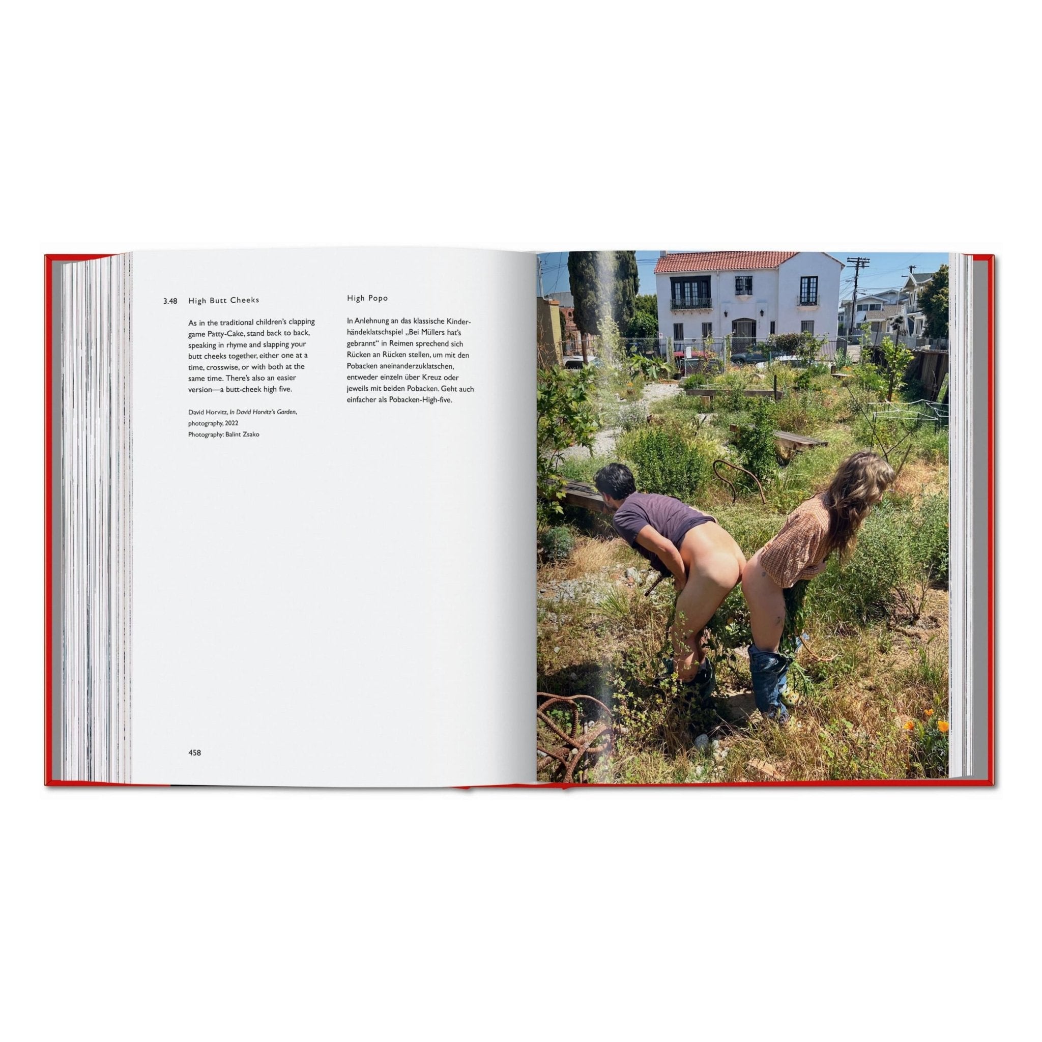 Carsten Höller. Book of Games (German, English)-POPvault