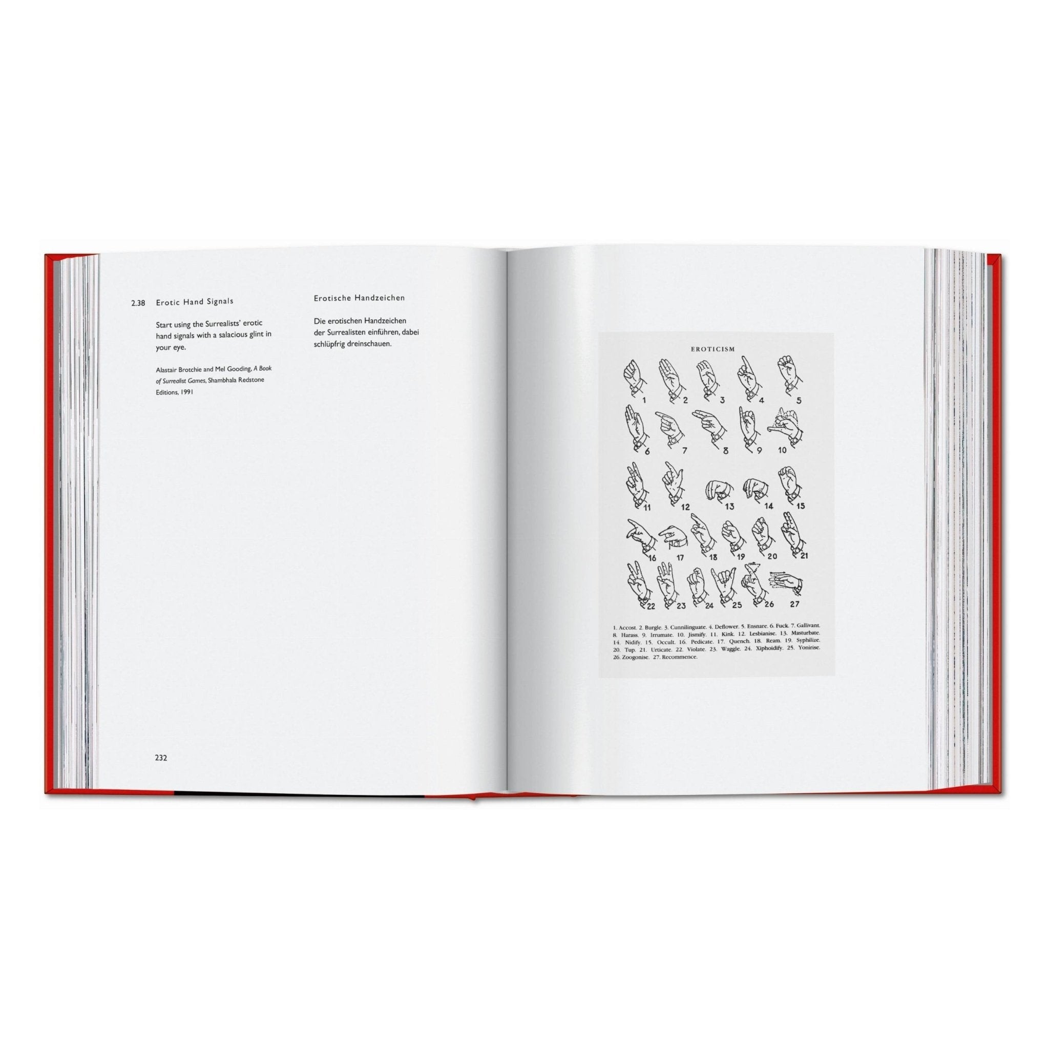Carsten Höller. Book of Games (German, English)-POPvault